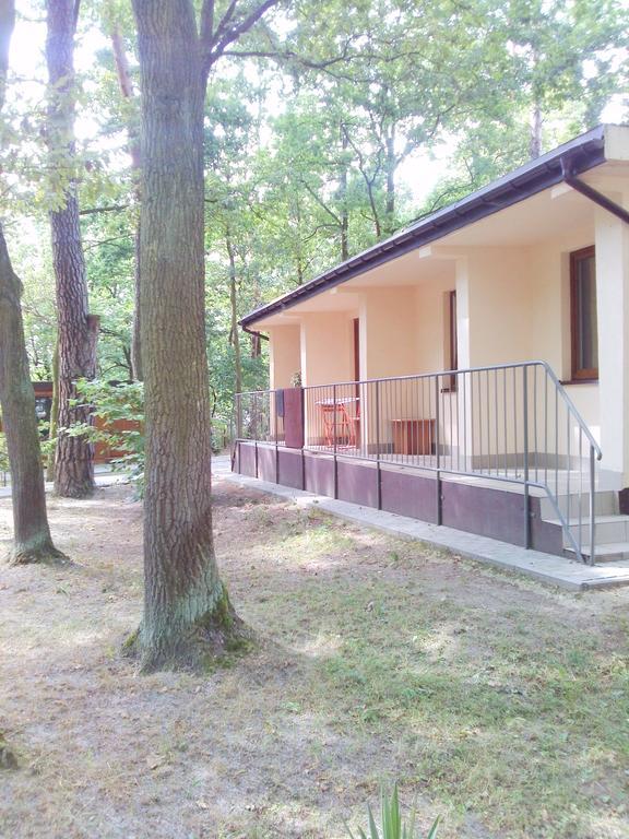מלון לובלין Osrodek Wypoczynkowy Forest מראה חיצוני תמונה